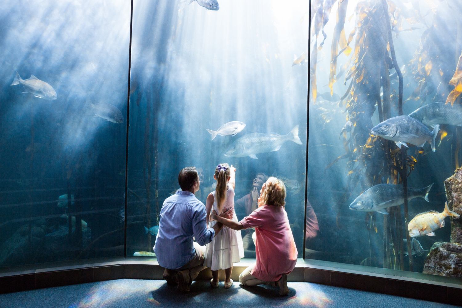 Einzigartige Ausflüge zum Oceanarium von  BlissBandithoxy 